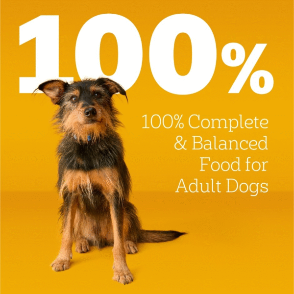 PEDIGREE Complete Nutrition Adult Dry Dog Food Grilled Steak & Vegetable Flavor Dog Kibble, 30 lb. Bonus Bag - Image 5
